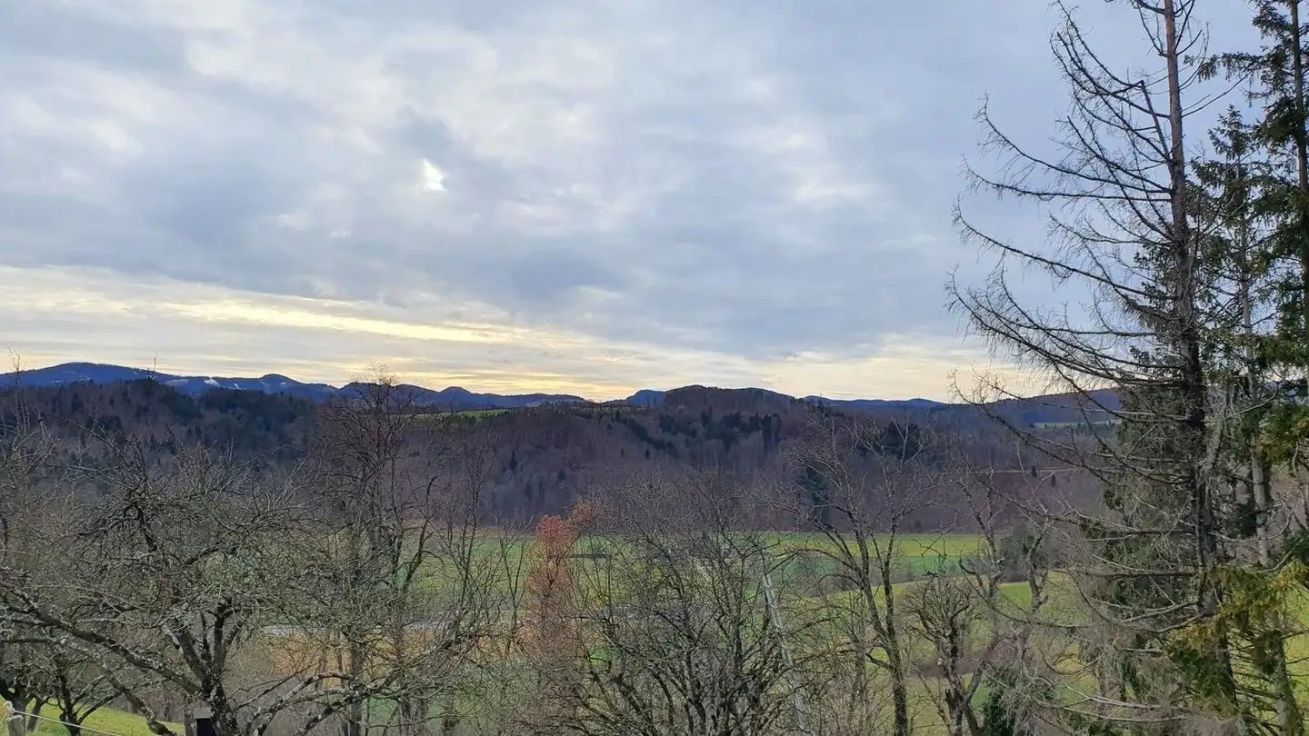 Terrain constructible à vendre - Eggstrasse, 4433 Ramlinsburg - Photo 3