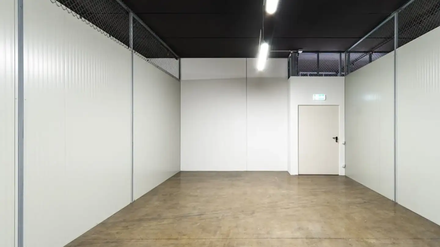 Industrial property for rent - Via Cantonale 4, 6928 Manno - Photo 2