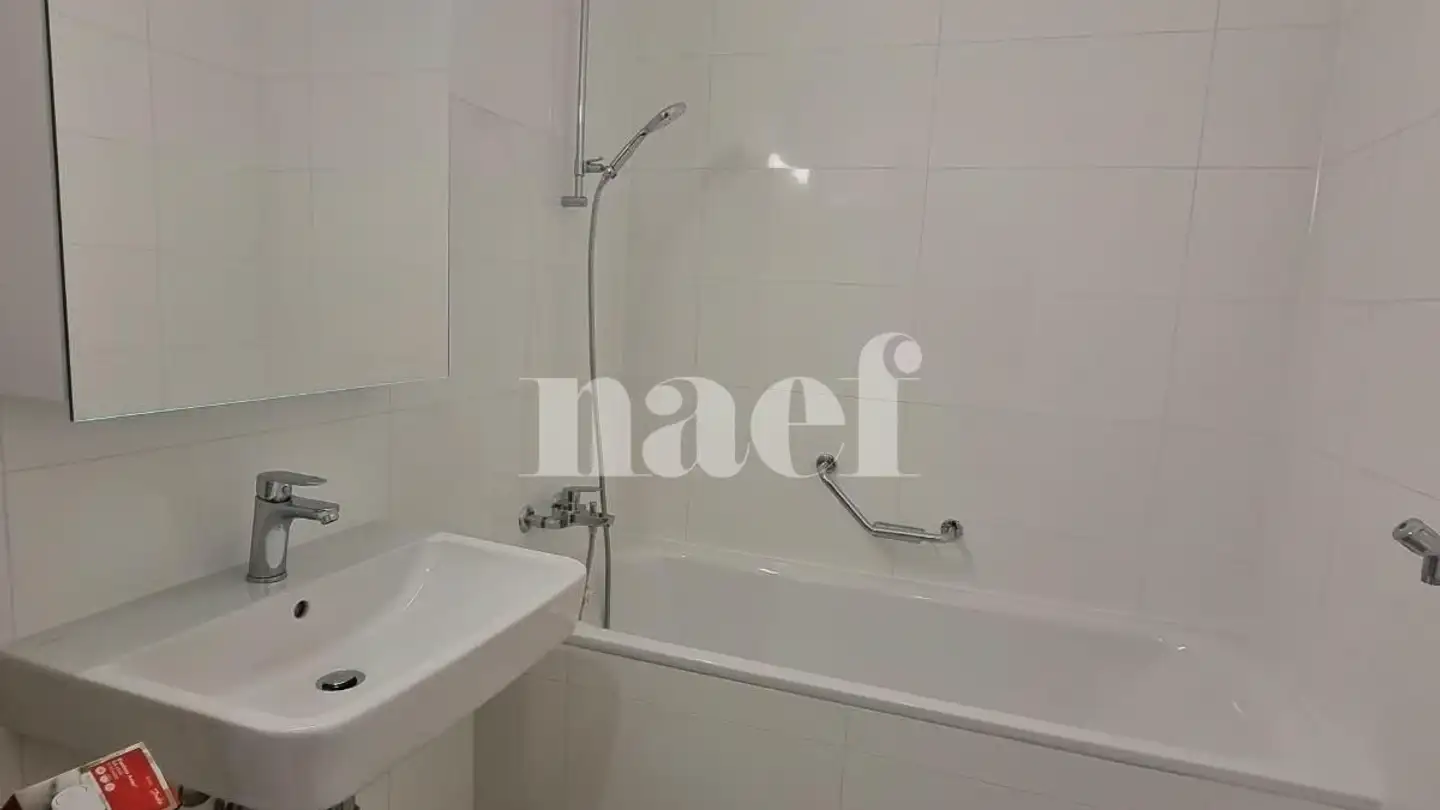 Apartment for rent - Parc Du Château-Banquet 26, 1202 Genève - Photo 4