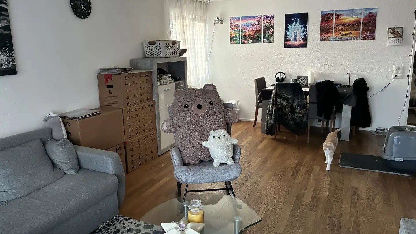 Appartamento in affitto - Alte Hedingerstrasse 33, 8910 Affoltern am Albis - Foto 2