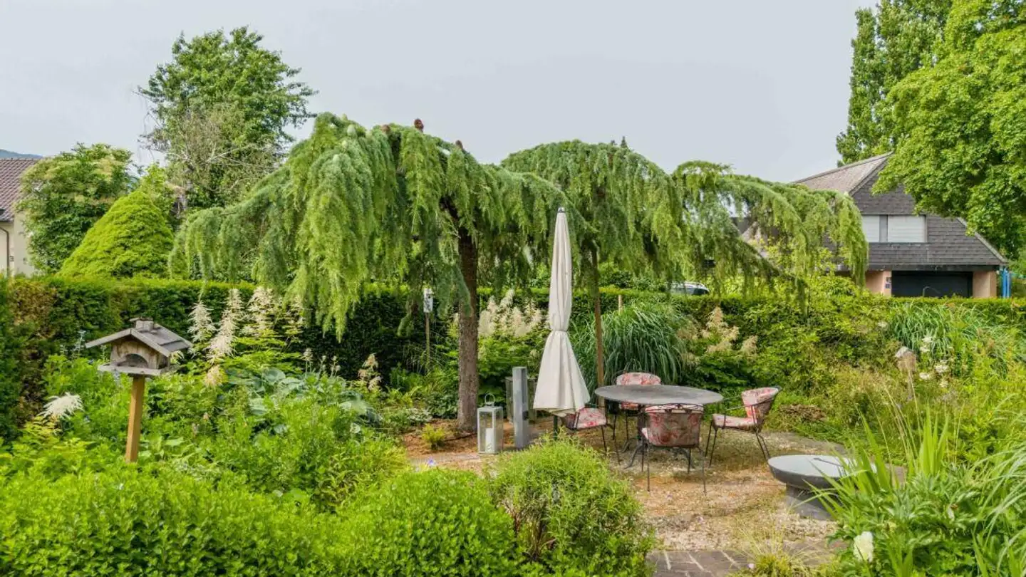 Einfamilienhaus kaufen - Aeschbordweg 1, 5107 Schinznach Dorf - Foto 2
