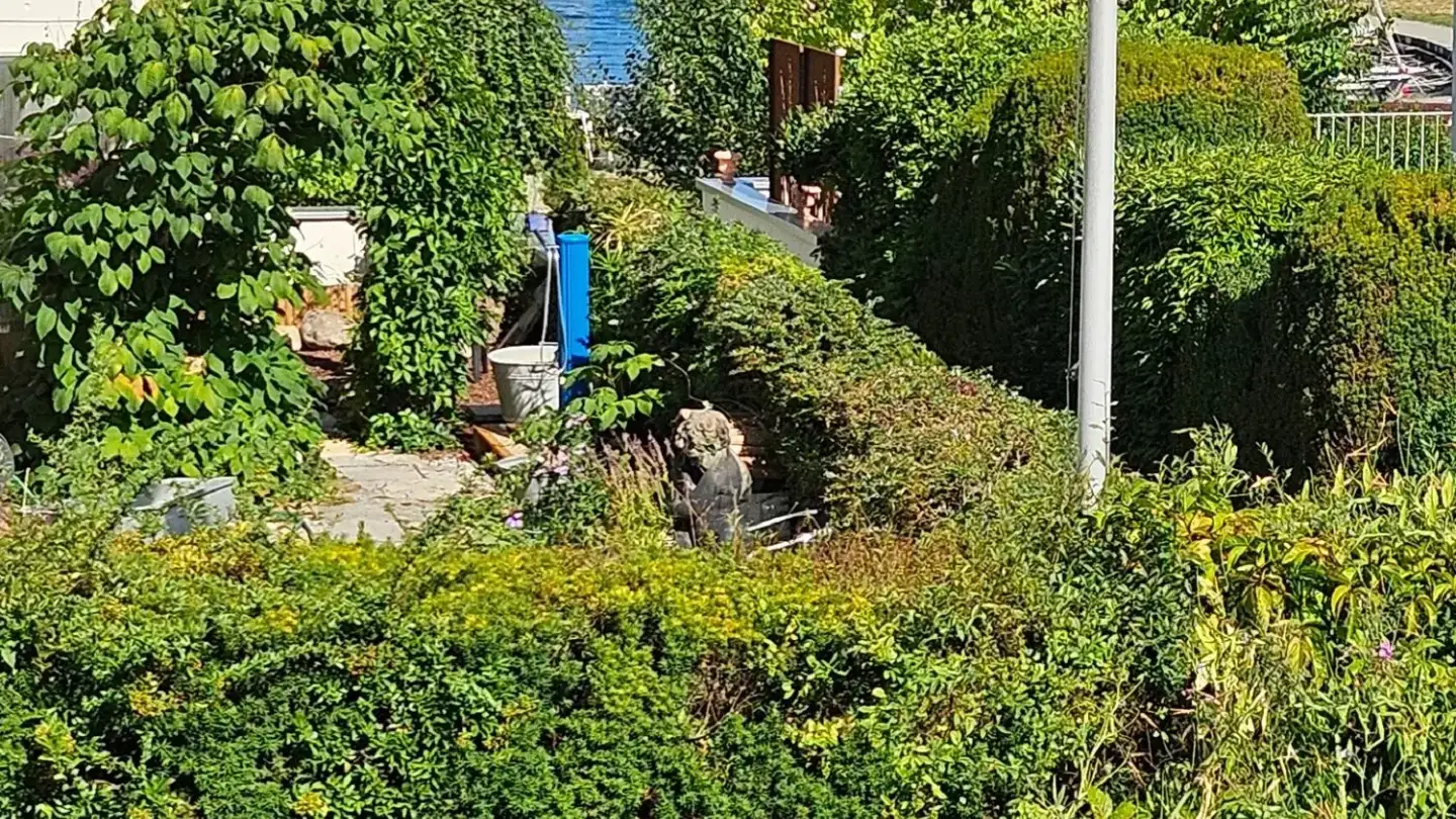 Maisonette mieten - Ryf 72, 3280 Murten - Foto 2