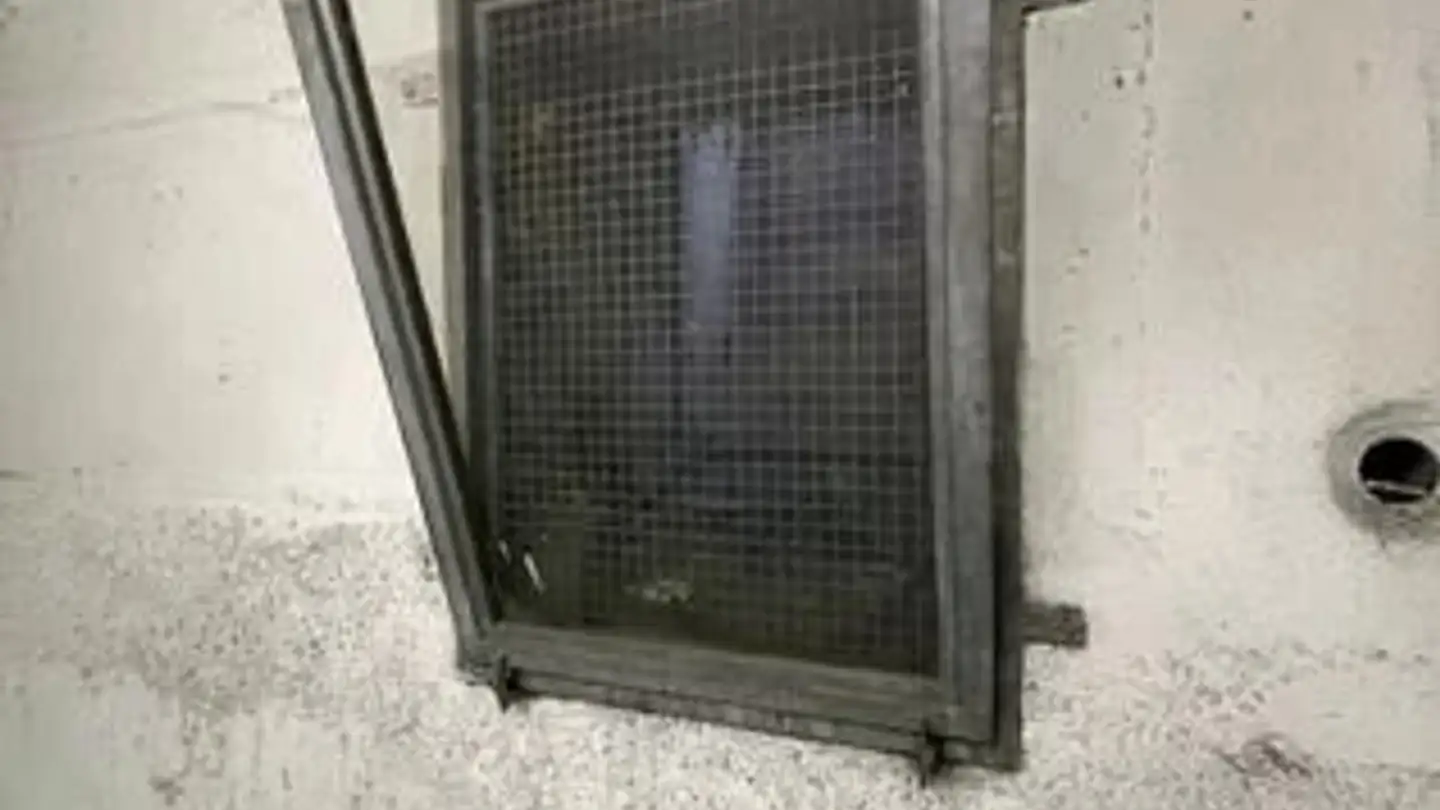 Gewerbe mieten - Rue De Genève 136, 1226 Thônex