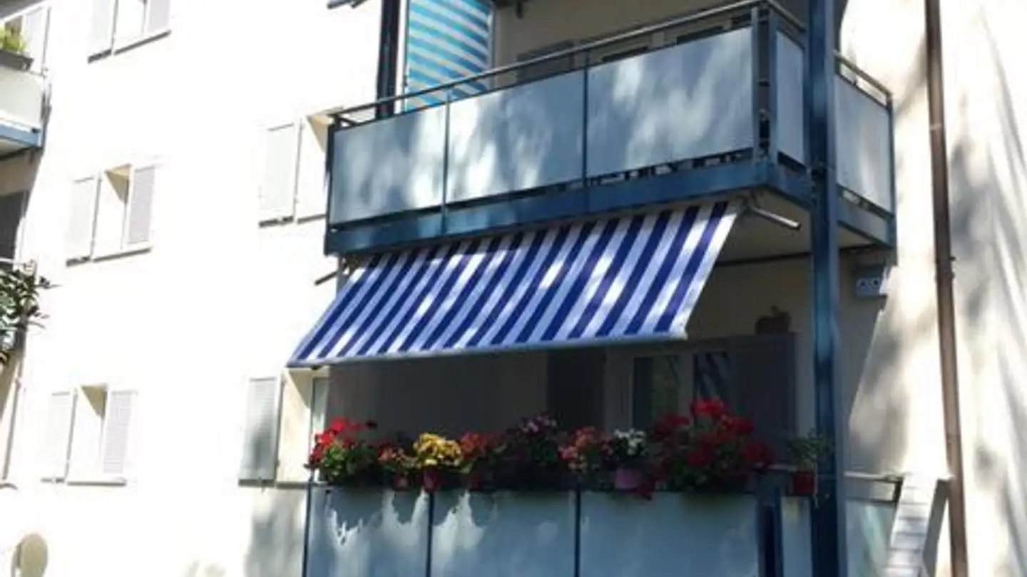 Wohnung mieten - Albisriederstrasse 294, 8047 Zürich