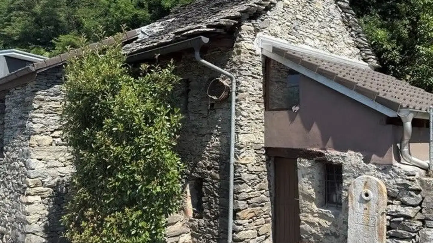 Atelier à vendre - Via Mulini 7, 6596 Gordola