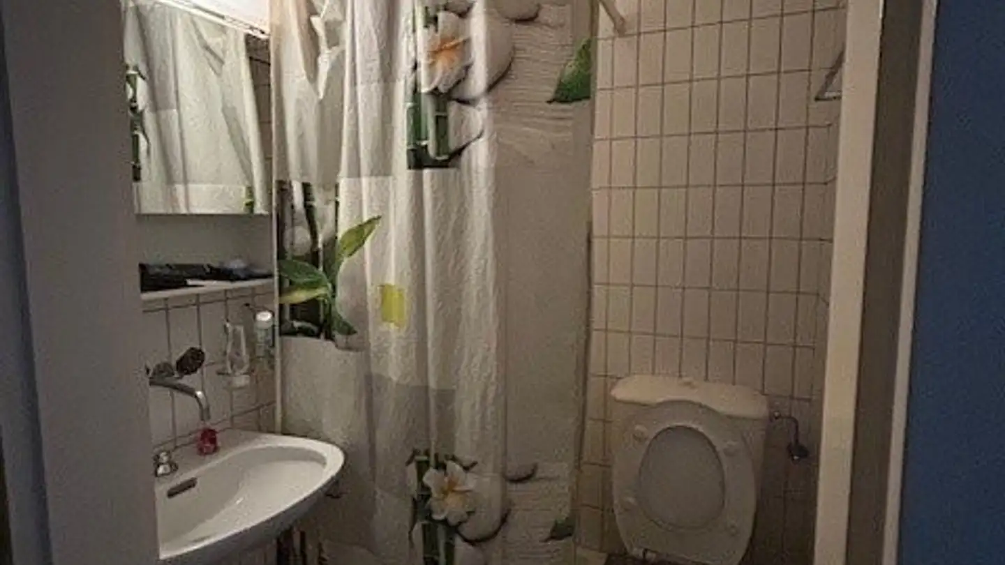 Appartamento in affitto - Route De Villars-Vert 38, 1752 Villars-sur-Glâne - Photo 2