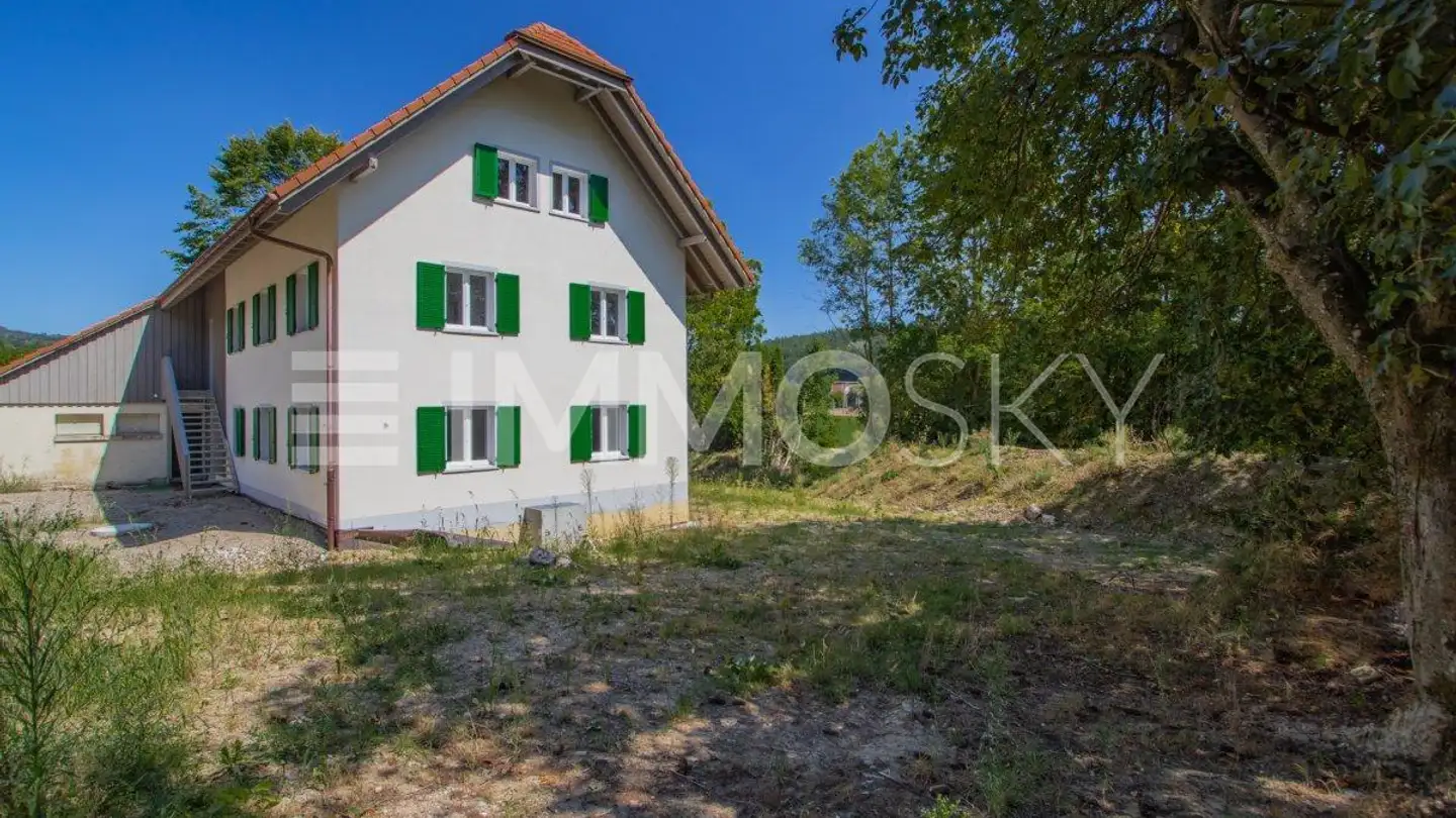 Einfamilienhaus kaufen - 4665 Oftringen