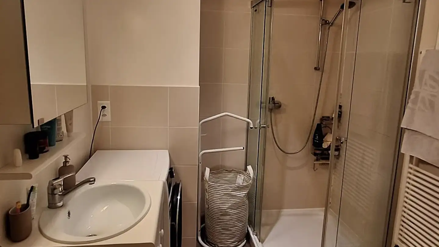 Appartement à louer - Rue Des Pavillons, 1205 Genève - Photo 3