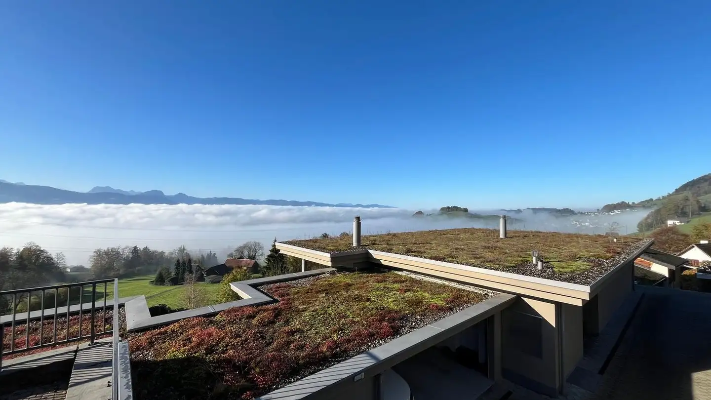 Single house for sale - Obermatten 12, 8735 Rüeterswil - Photo 3