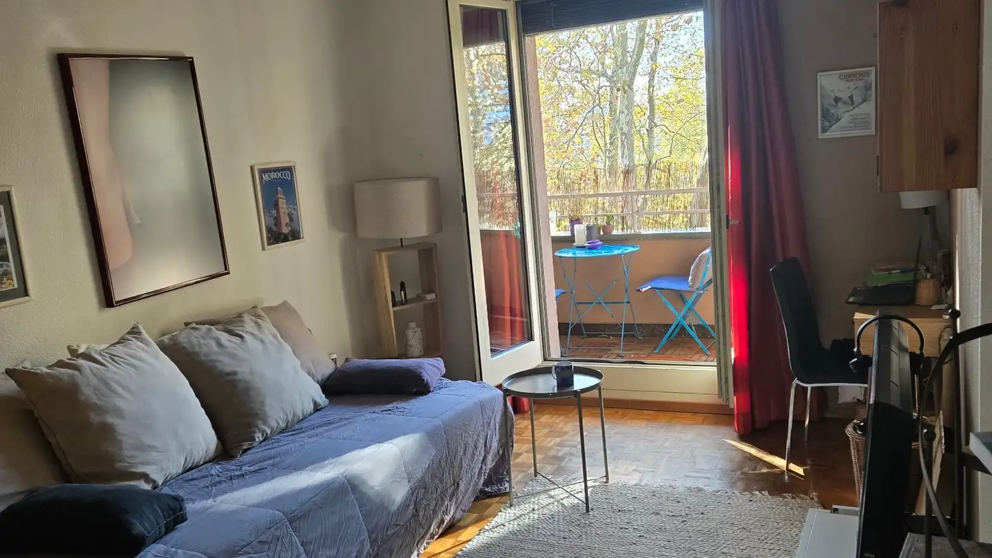 Single room for rent - Route Des Acacias, 1227 Les Acacias - Photo 3