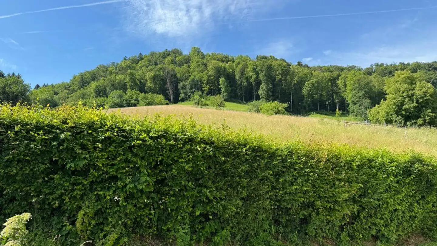 Appartement à louer - Bretzwilerstrasse, 4418 Reigoldswil - Photo 4