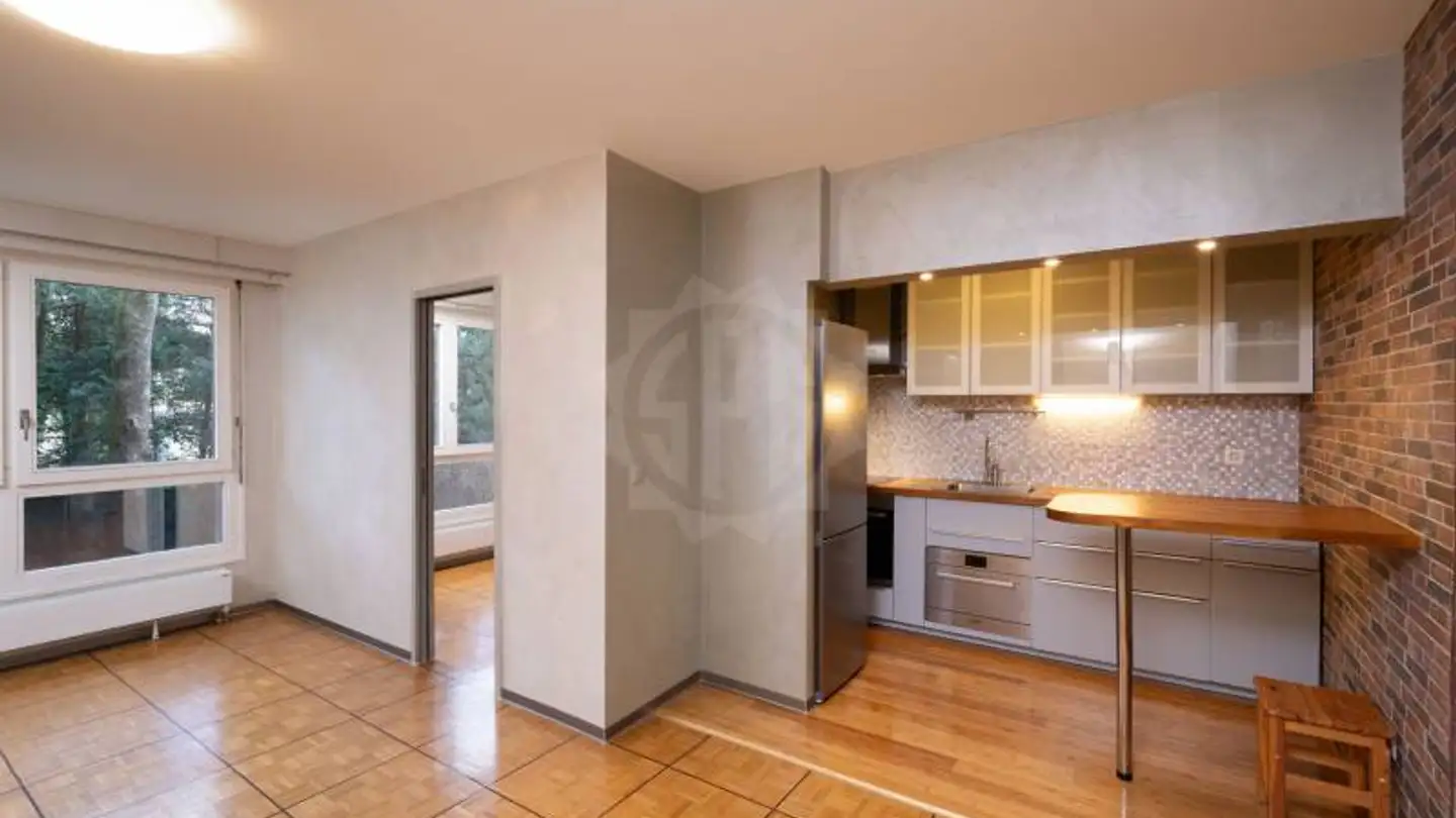 Apartment for rent - Avenue Du Bouchet 20a, 1209 Genève - Photo 3