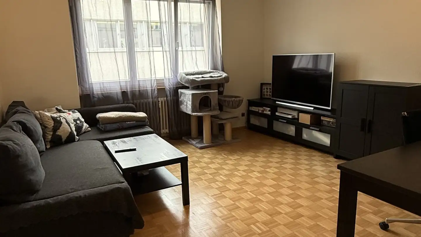 Appartamento in affitto - 4051 Basel