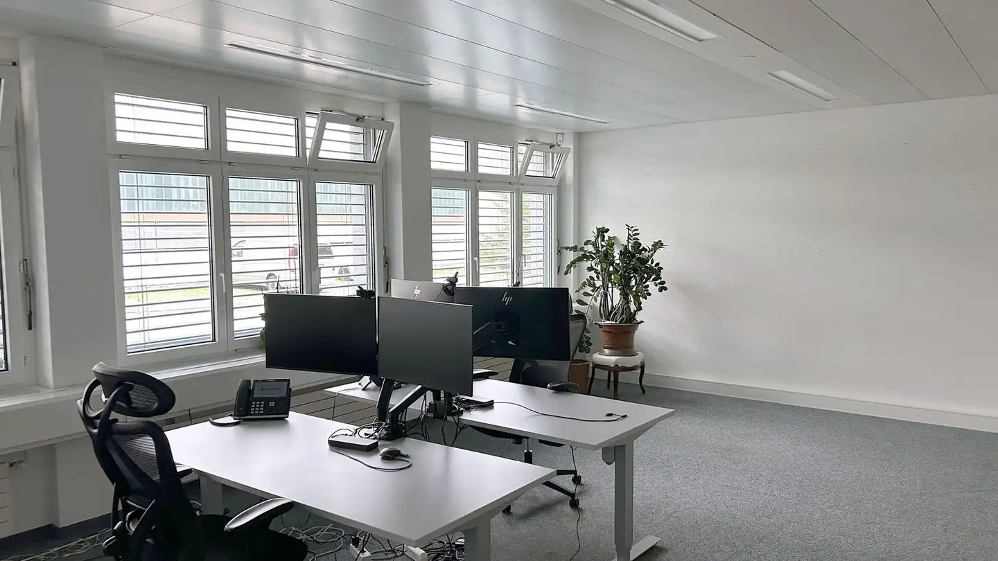 Commercial à louer - Asylstrasse 68, 8708 Männedorf