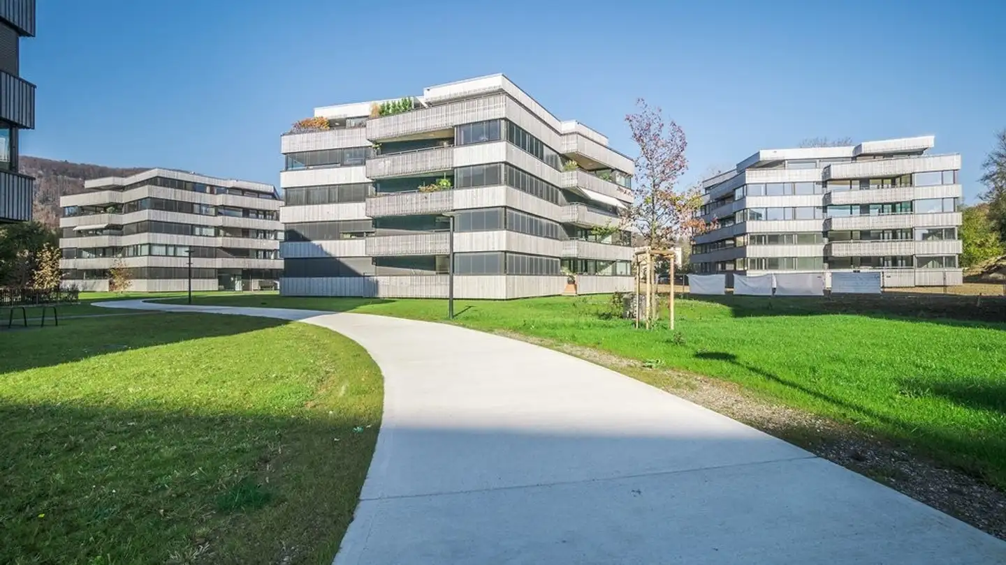 Appartement à louer - Strickereistrasse 8, 4663 Aarburg