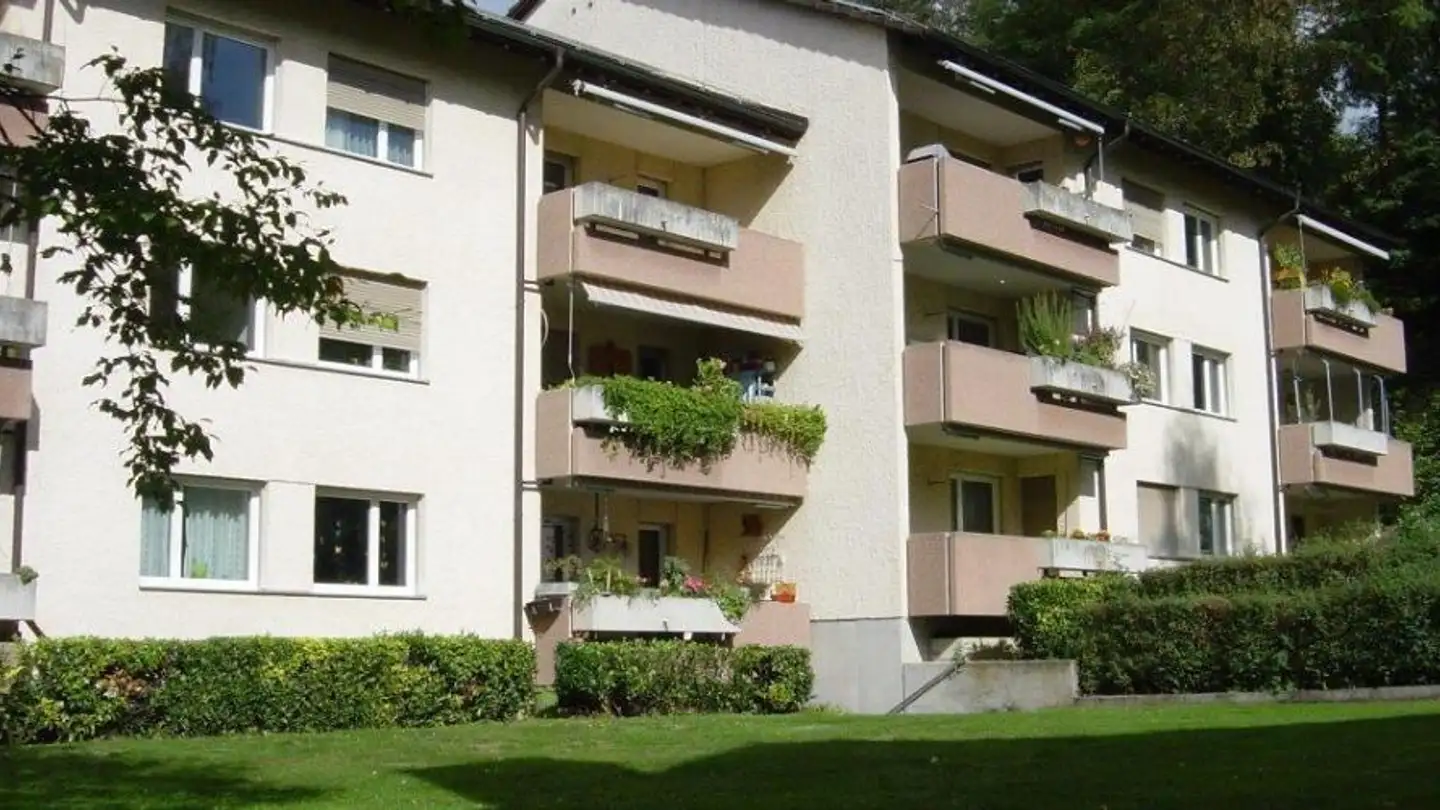 Appartamento in affitto - Steinmattweg 15, 4143 Dornach