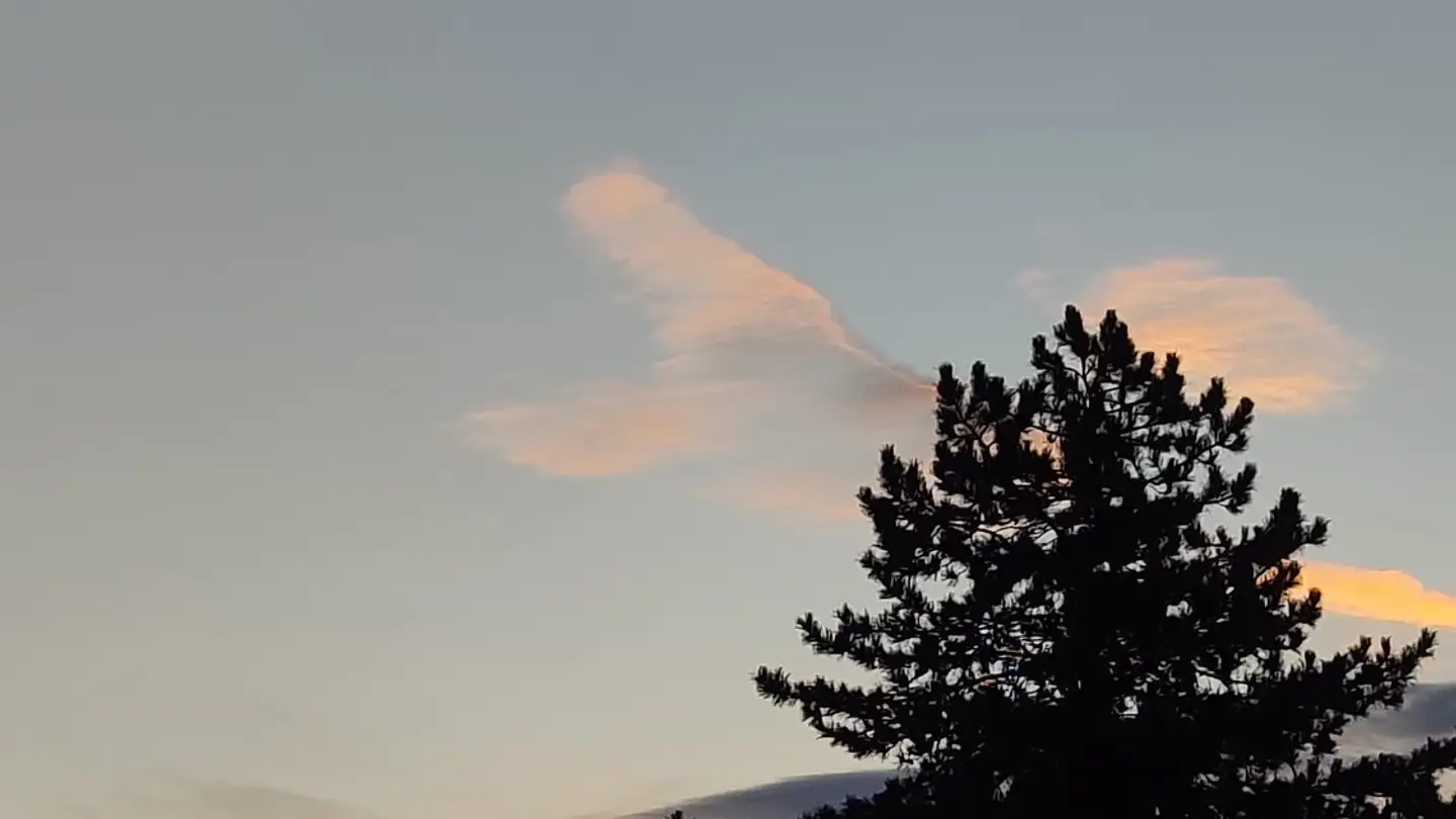 Single room for rent - Bergstrasse 1, 6010 Kriens - Photo 3