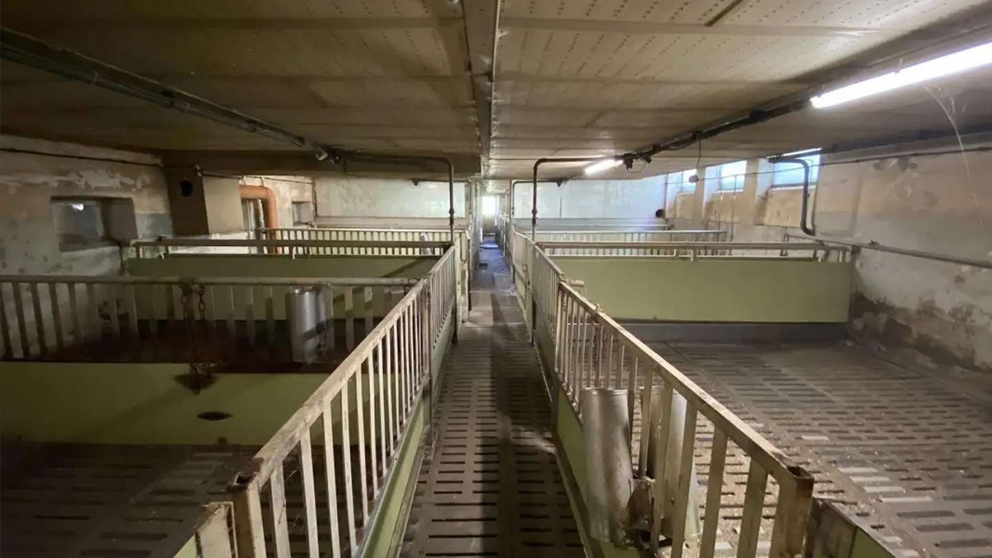 Commerciale in vendita - Eggsteig 1939, 9534 Gähwil - Foto 4