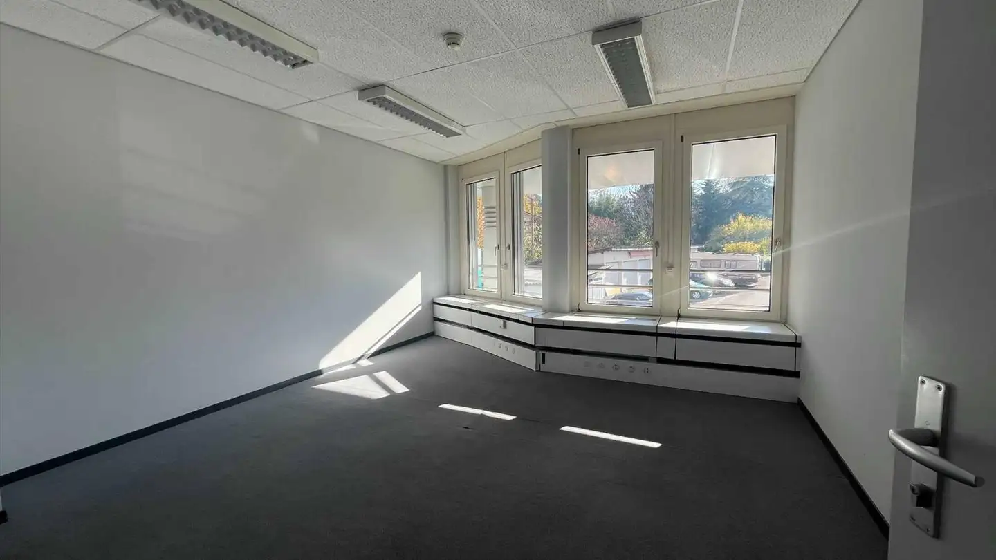 Spazio ufficio in affitto - Impasse Colombelle 8, 1218 Le Grand-Saconnex - Foto 4