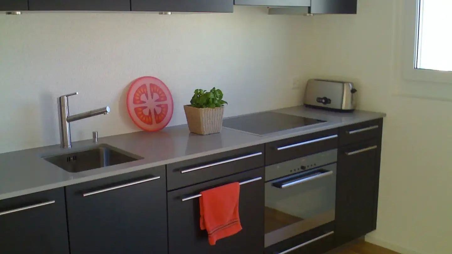 Furnished apartment for rent - Zipfelweg, 8134 Adliswil - Photo 2