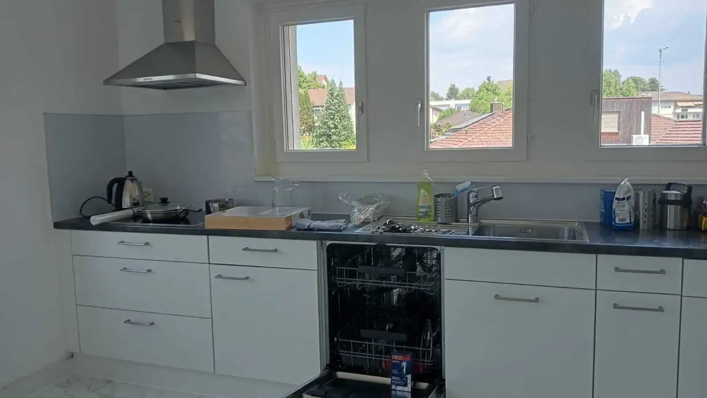 Appartamento in affitto - 8132 Egg b. Zürich - Photo 2