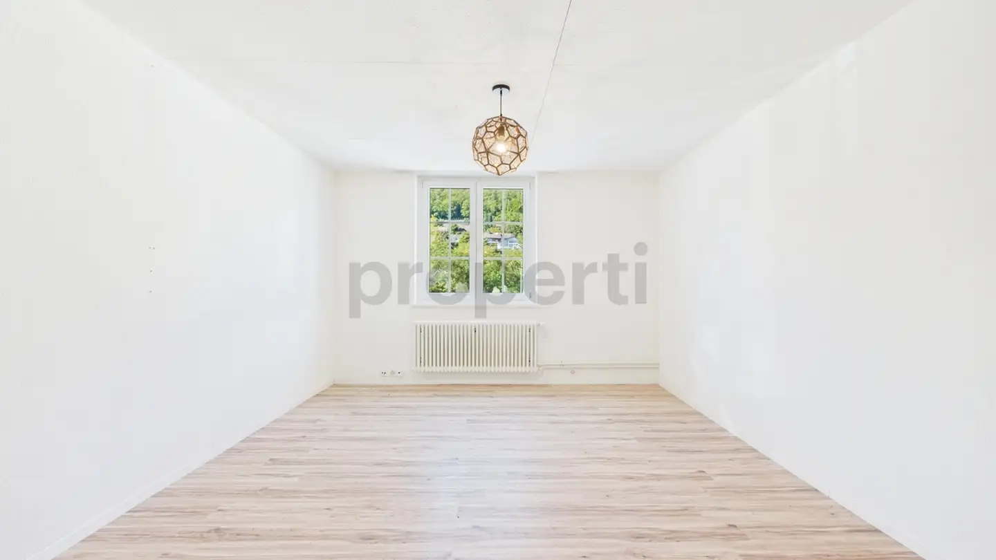 Appartamento in affitto - 4222 Zwingen