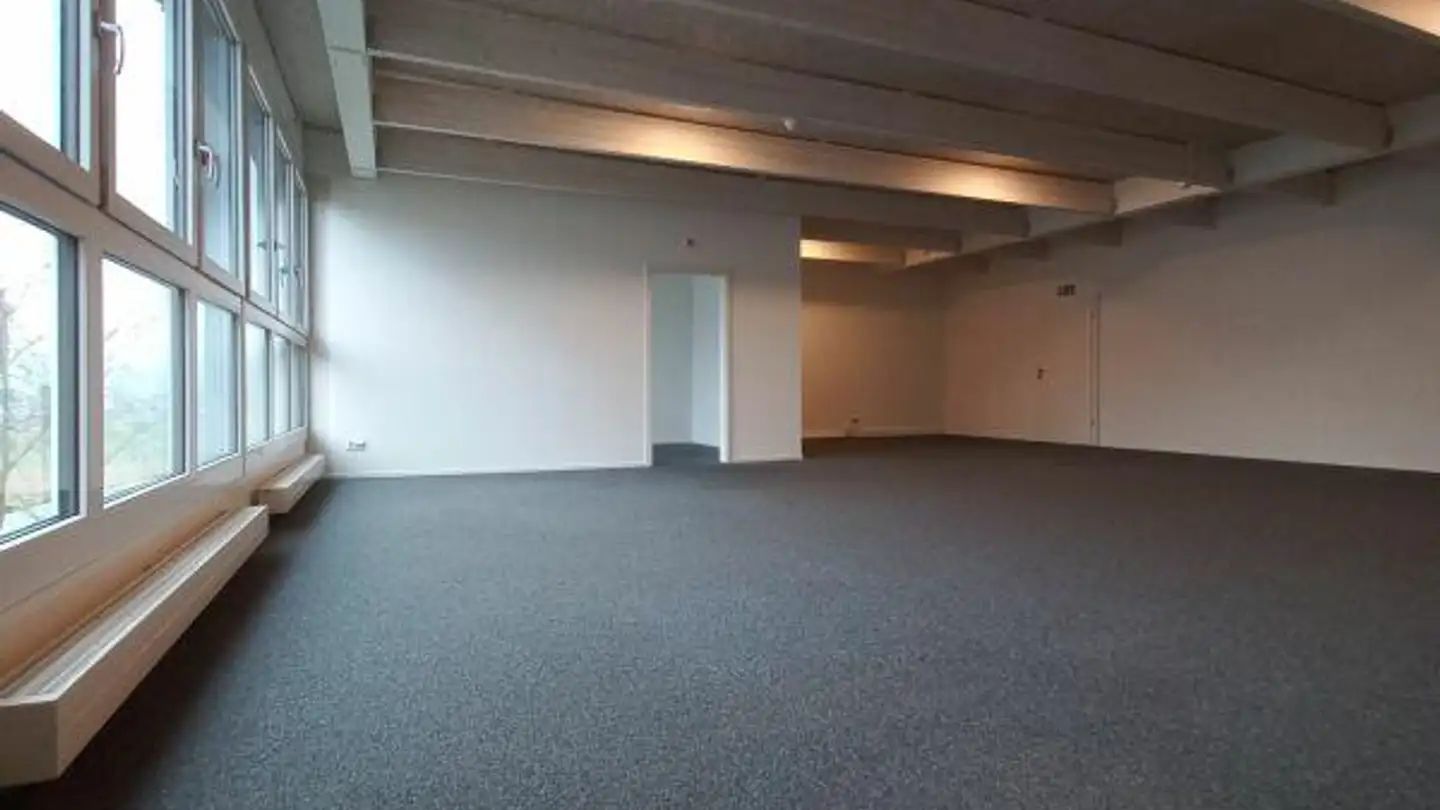 Office space for rent - Hofwisenstrasse 2, 8260 Stein am Rhein