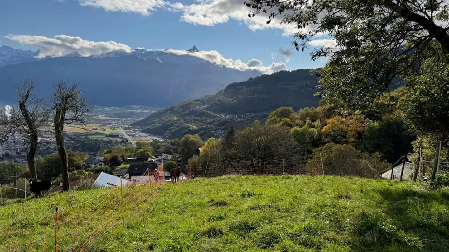 Terreno edificabile in vendita - 1868 Collombey - Photo 2