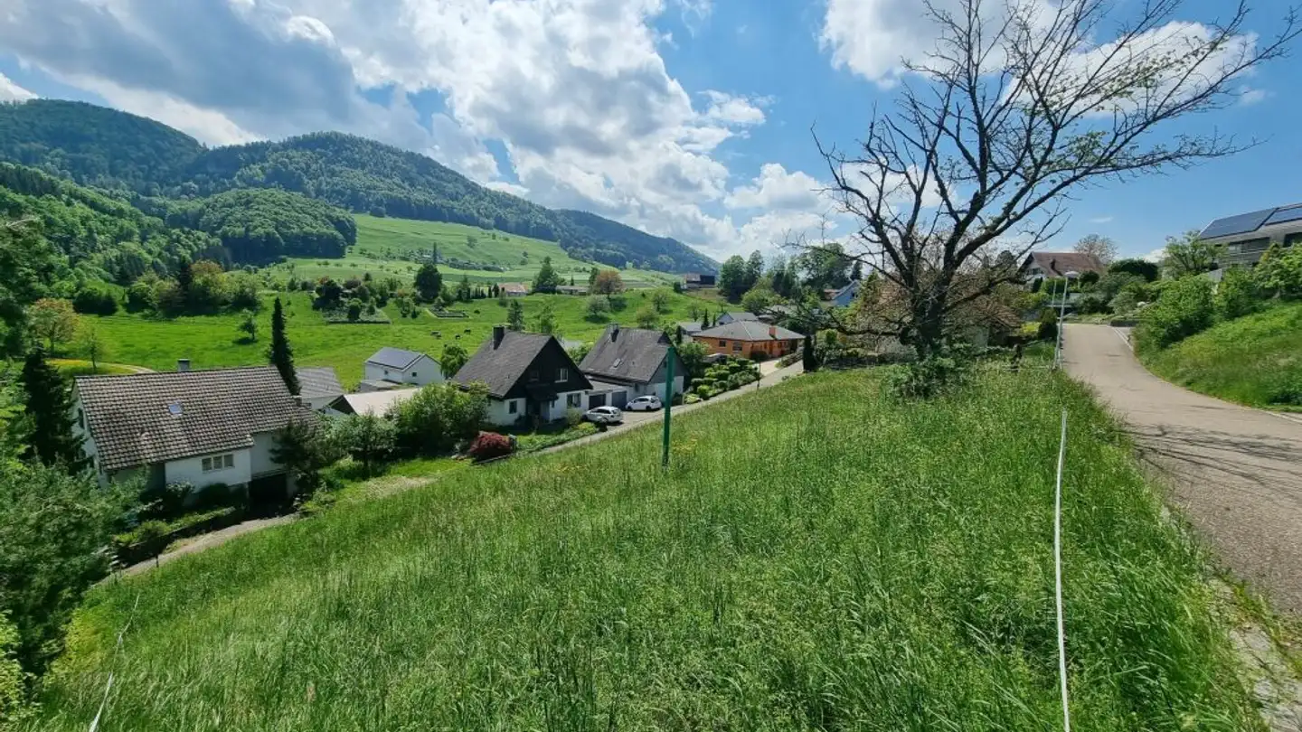 Einfamilienhaus kaufen - Fluhgasse, 4207 Bretzwil - Foto 3