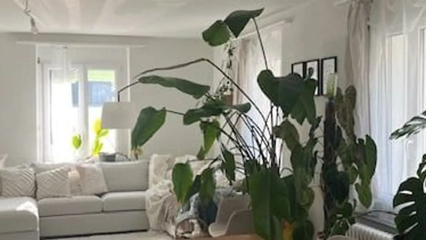 Apartment for rent - Fabrikweg, 4460 Gelterkinden