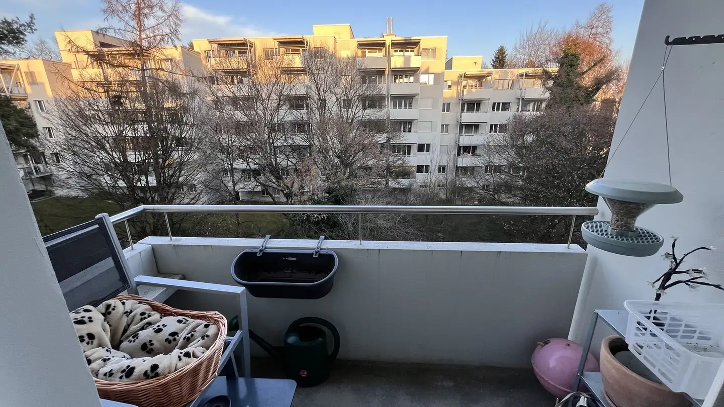 Single room for rent - Giacomettistrasse 18, 3006 Bern - Photo 3