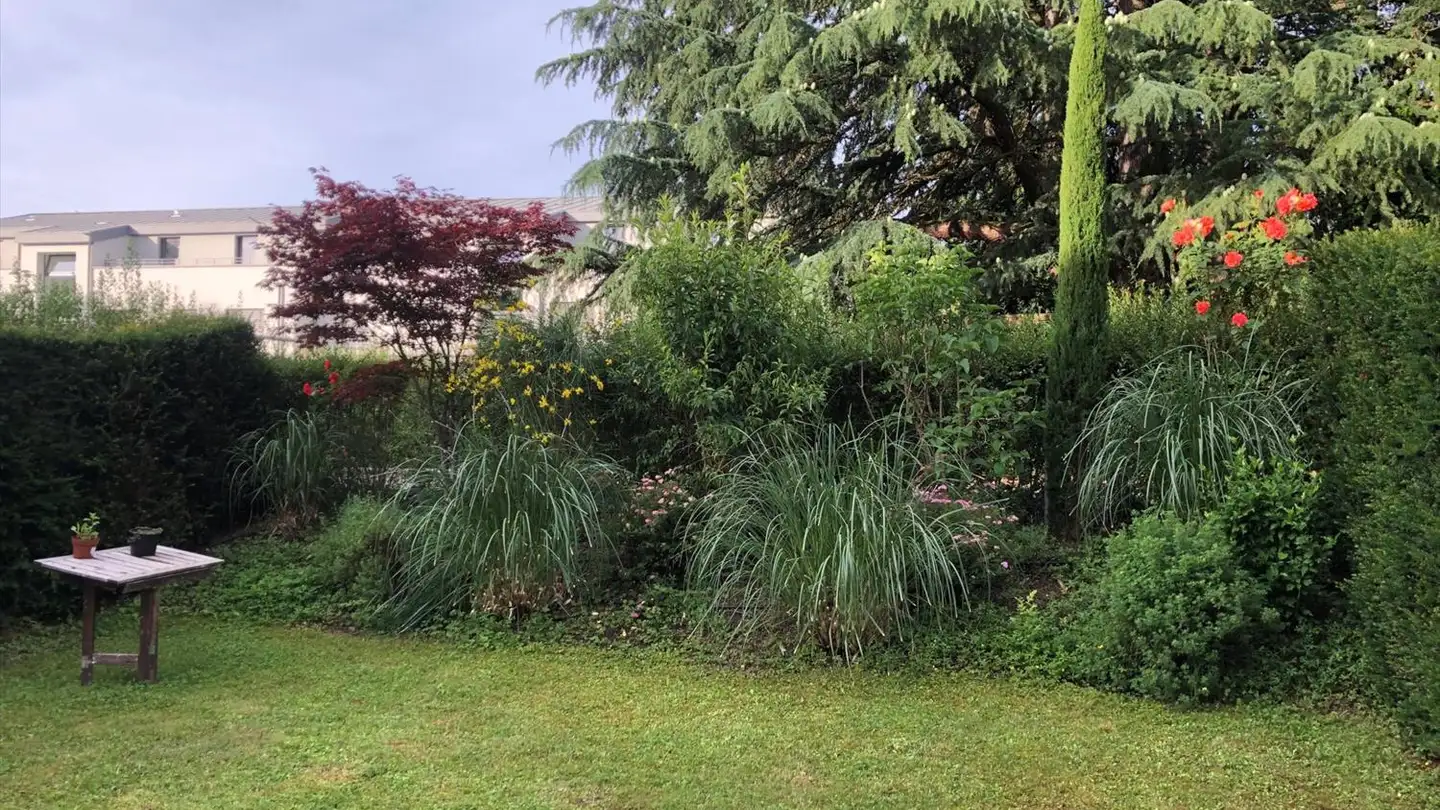 Appartamento in affitto - 1290 Versoix - Photo 2