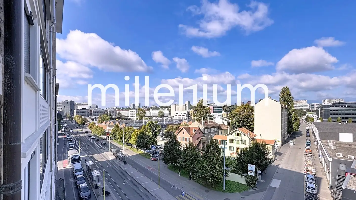 Wohnung kaufen - 1227 Carouge GE