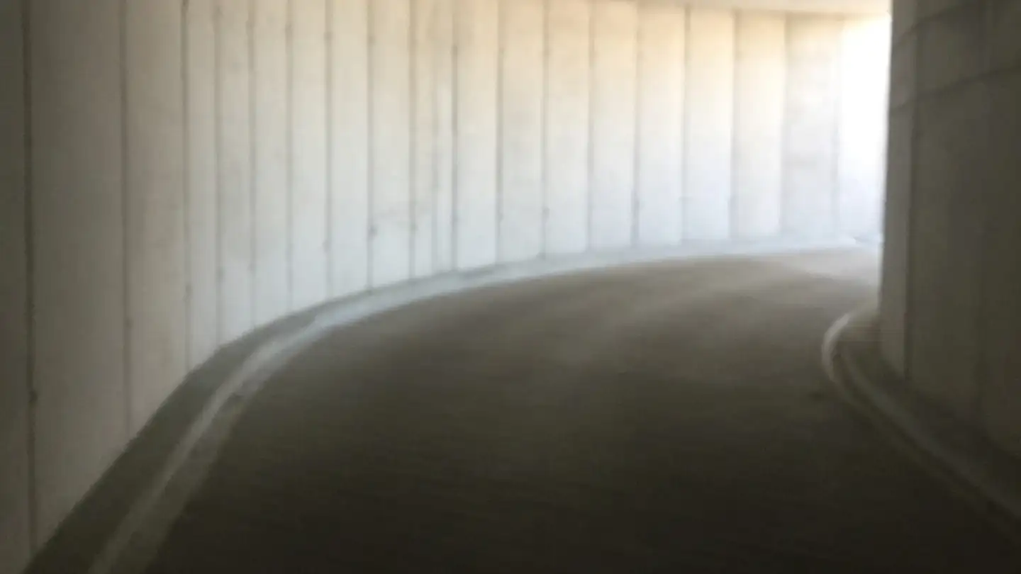 Single garage for rent - Forchstrasse 127, 8127 Forch - Photo 3