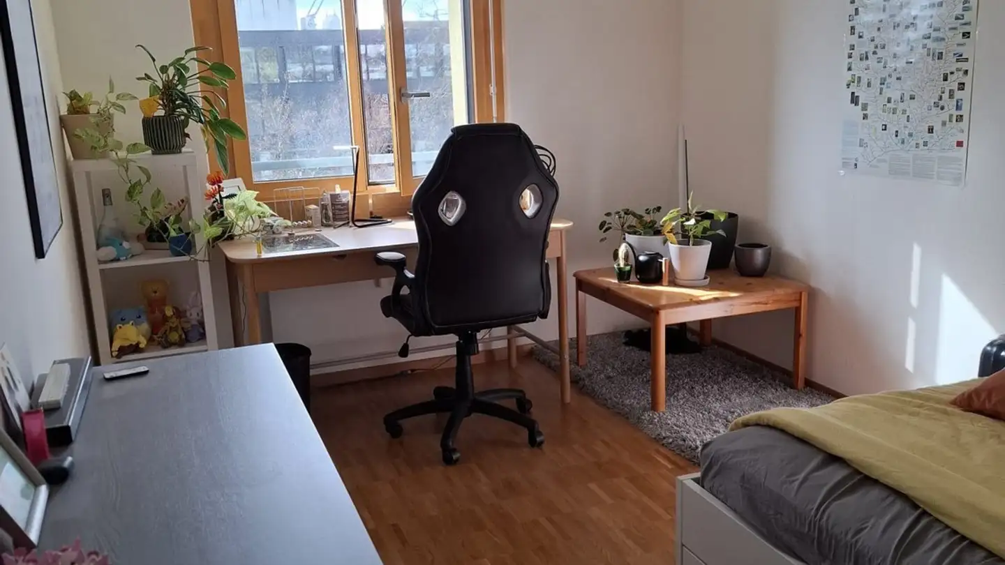 Zimmer mieten - Lindenweg 11, 8500 Frauenfeld