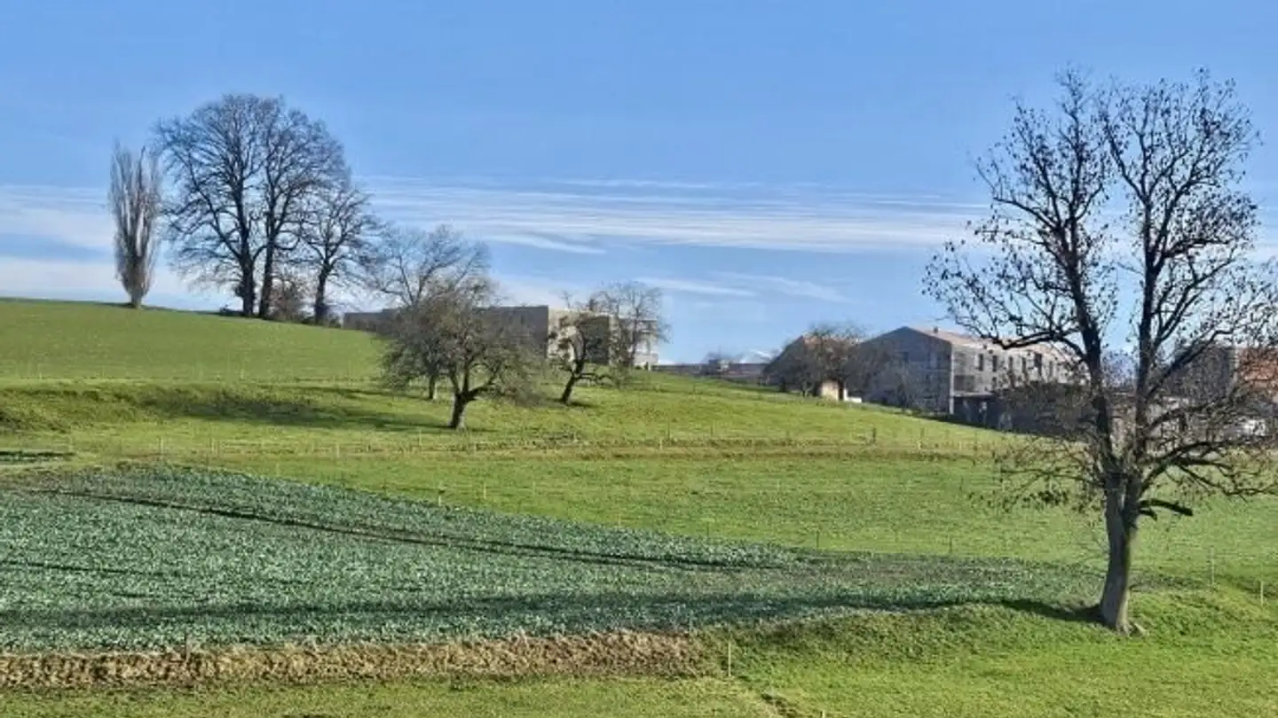 Apartment for rent - Rue Marie-Favre 30, 1754 Avry-sur-Matran - Photo 3