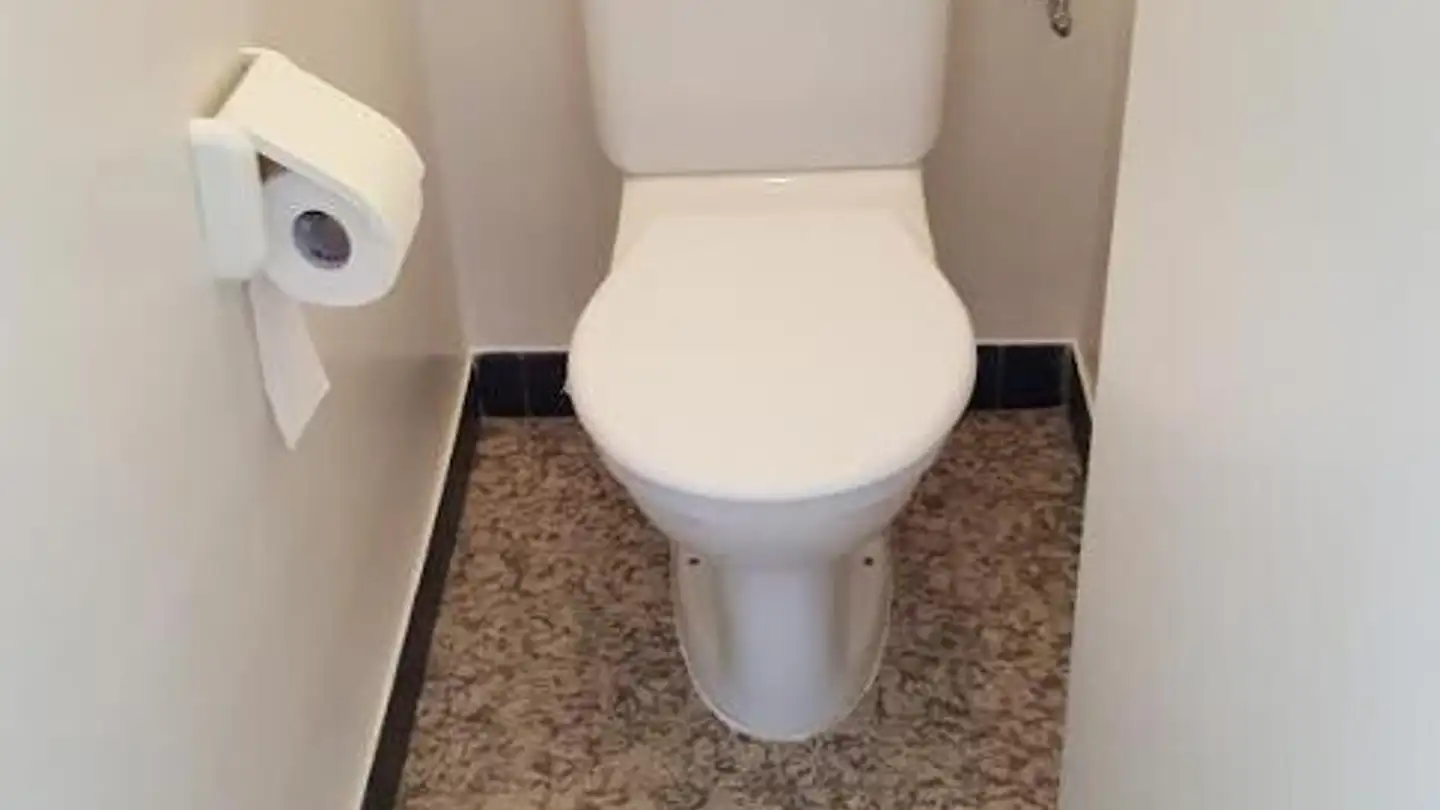 Appartement à louer - Chemin Du Foron, 1226 Thônex - Photo 4