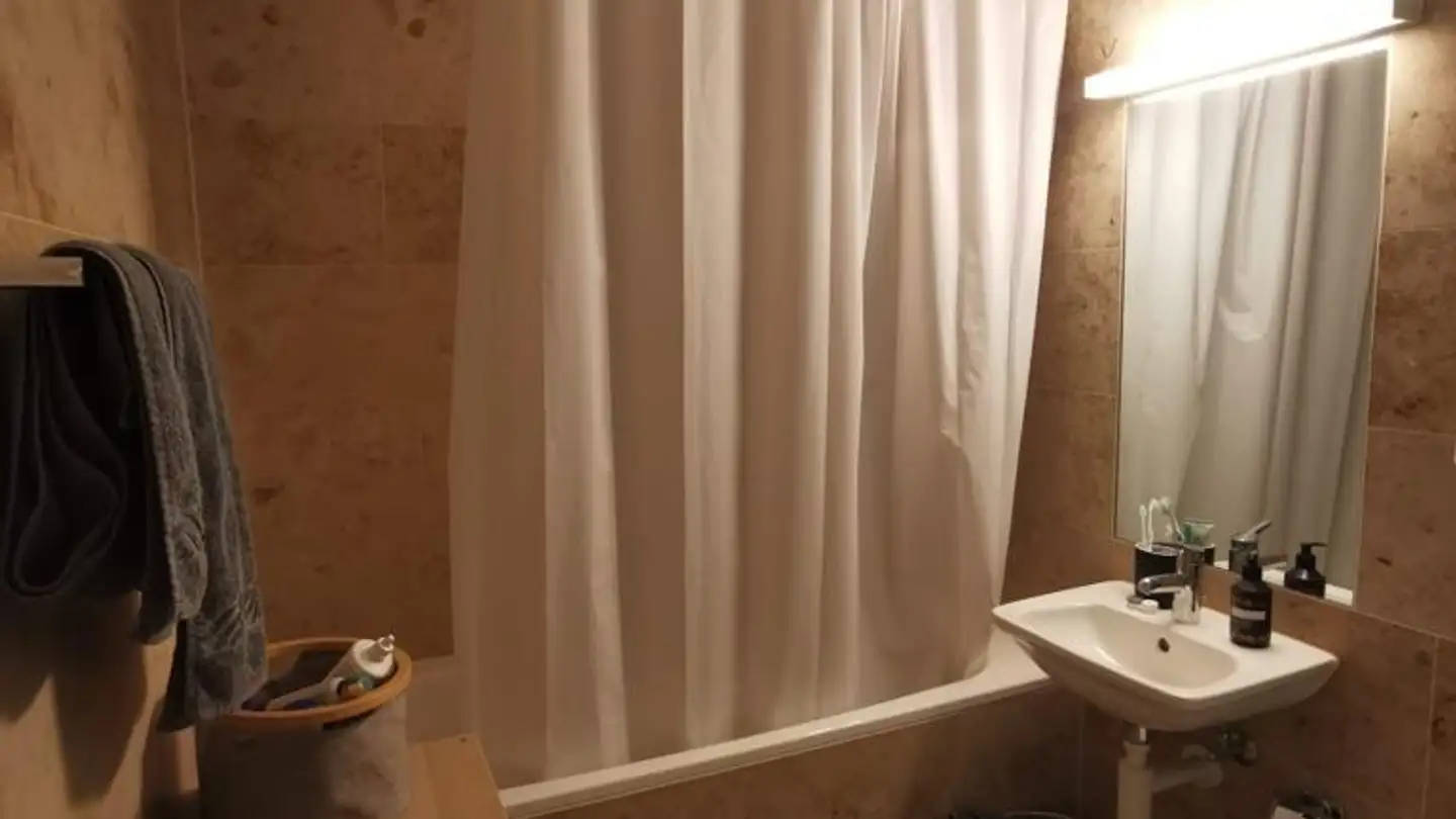 Appartamento in affitto - Burstwiesenstrasse 76, 8055 Zürich - Foto 4