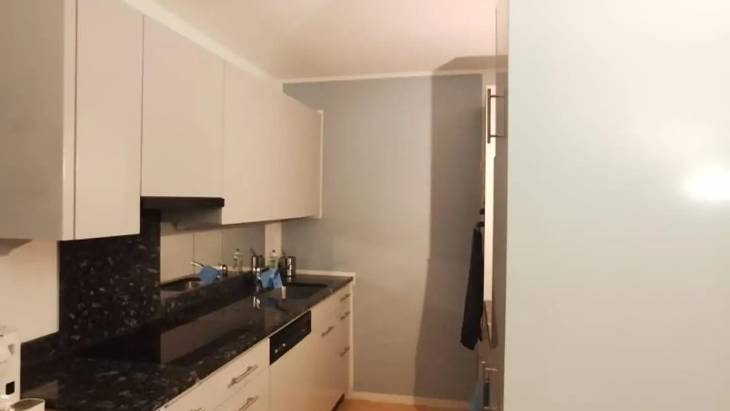 Appartamento in affitto - Burstwiesenstrasse 76, 8055 Zürich - Foto 3