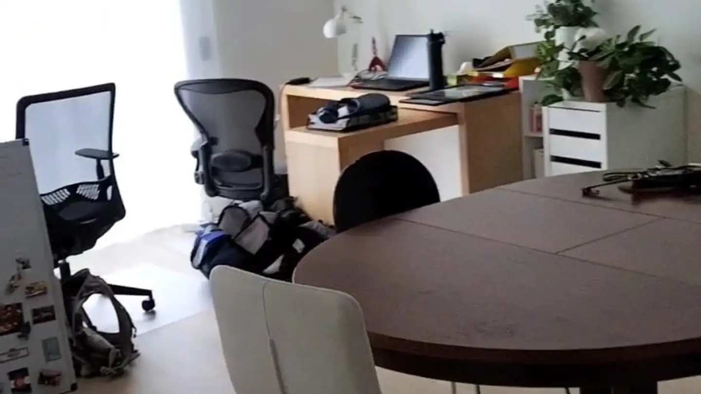 Appartamento in affitto - Rue Senedu Gebru 6, 1022 Chavannes-près-Renens