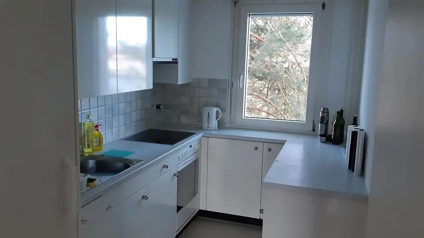 Möblierte Wohnung mieten - Am Pfisterhölzli, 8606 Greifensee - Foto 4
