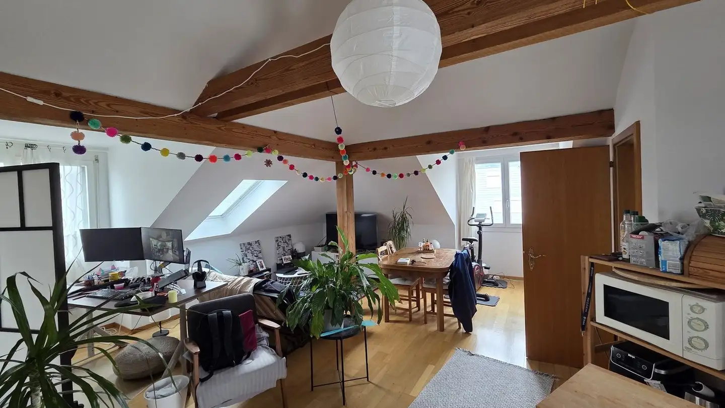 Appartement à louer - Luchswiesenstrasse 217, 8051 Zürich