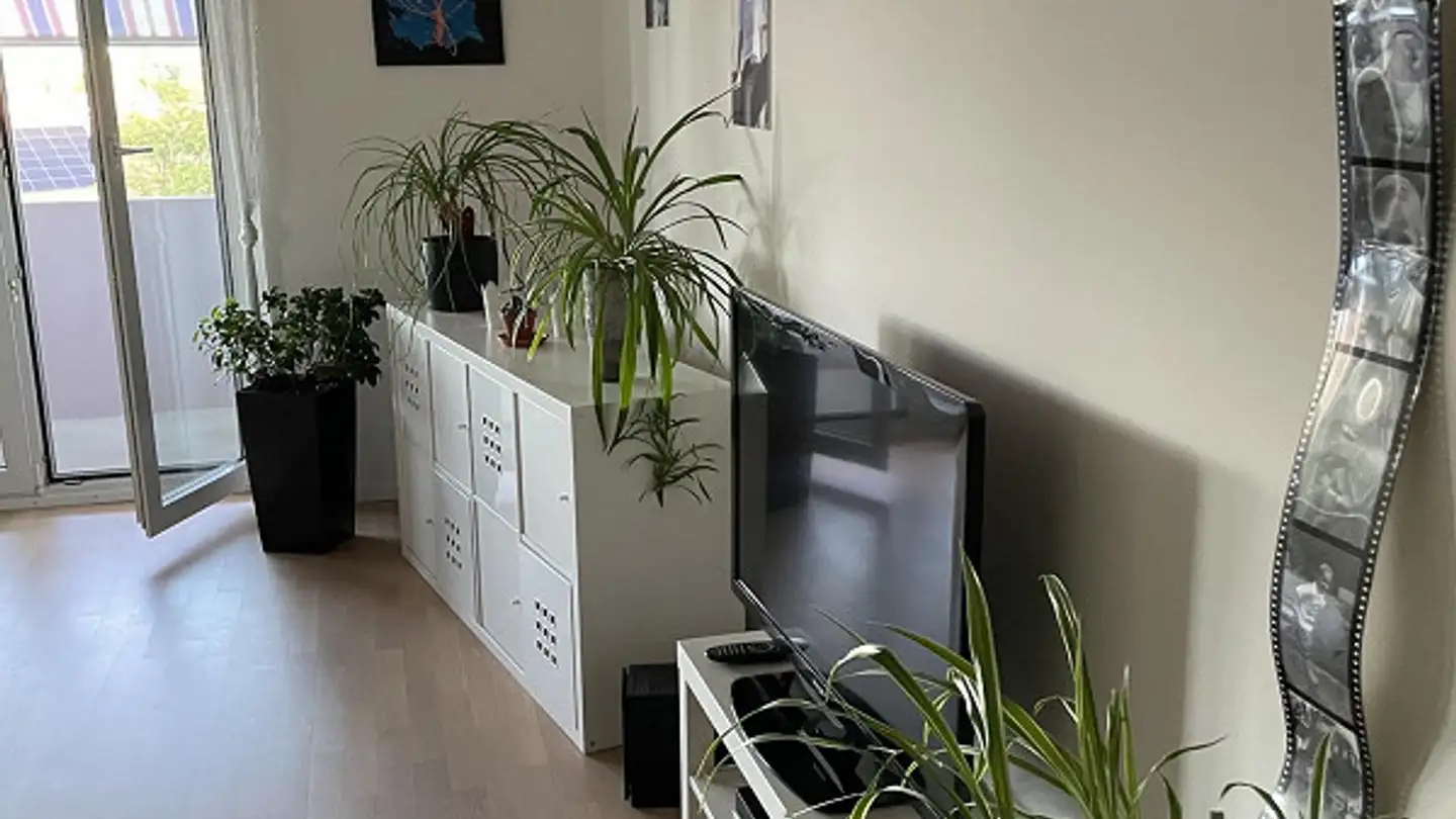 Appartement à louer - Riethaldenweg 7, 8200 Schaffhausen - Photo 2
