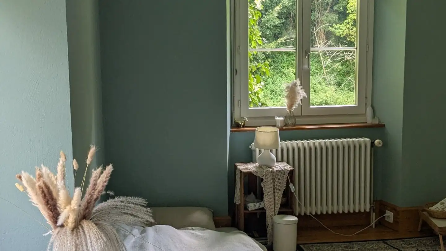 Single room for rent - Glashütte 58, 4229 Beinwil SO - Photo 3