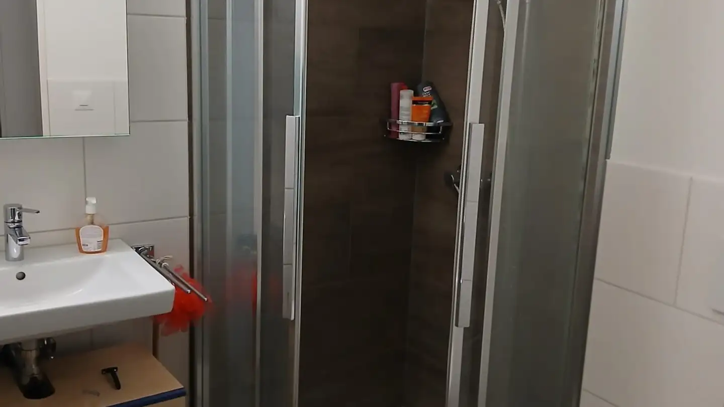 Appartamento in affitto - Burgenmatt 1, 5213 Villnachern - Photo 4