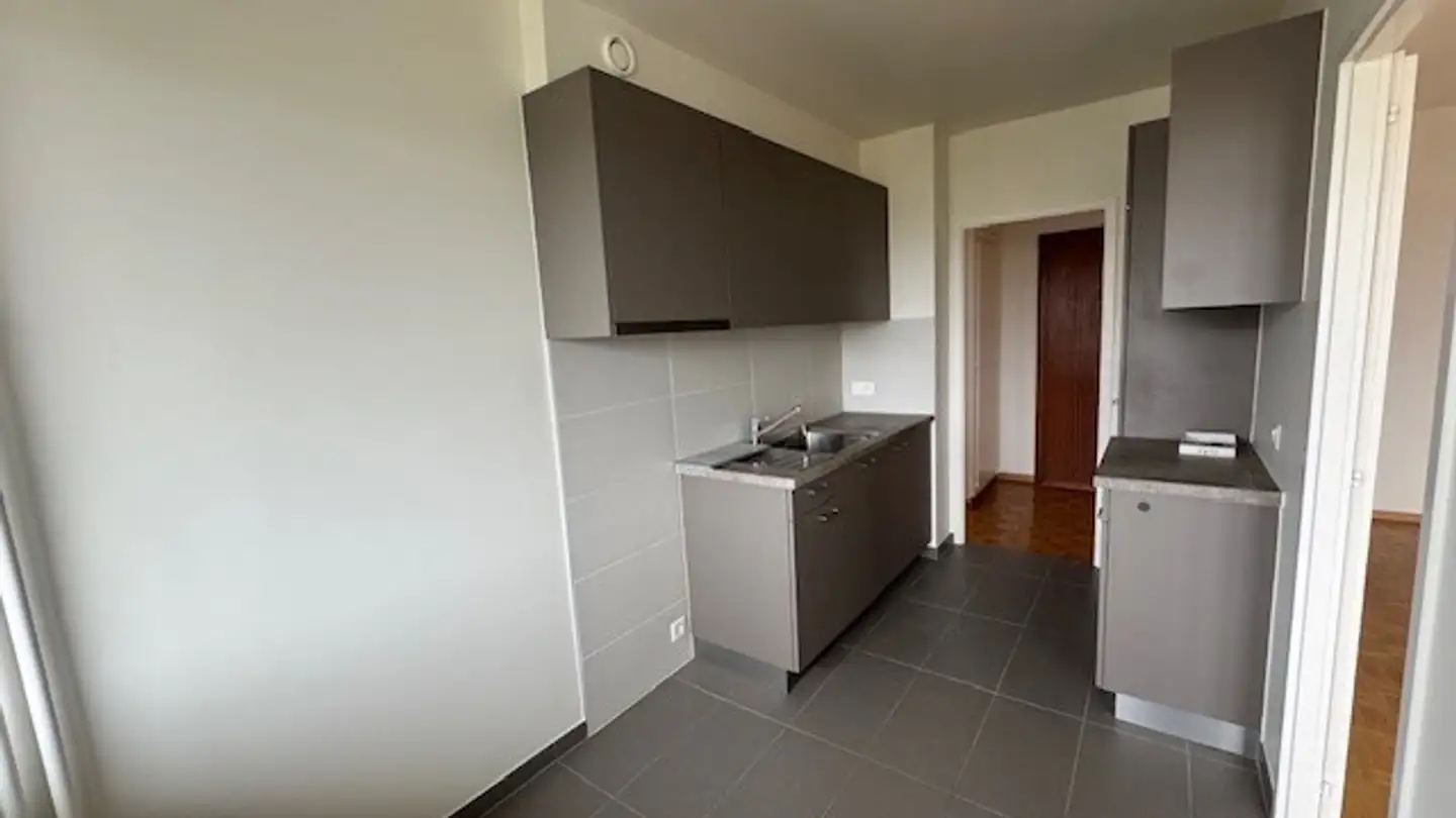 Appartamento in affitto - Avenue Du Bois-De-La-Chapelle 59, 1213 Onex - Photo 4