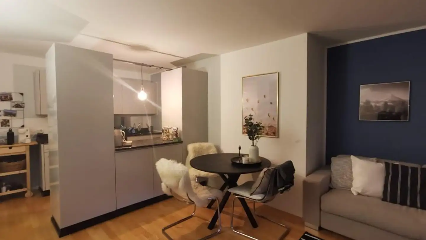 Appartamento in affitto - Burstwiesenstrasse 76, 8055 Zürich - Foto 2