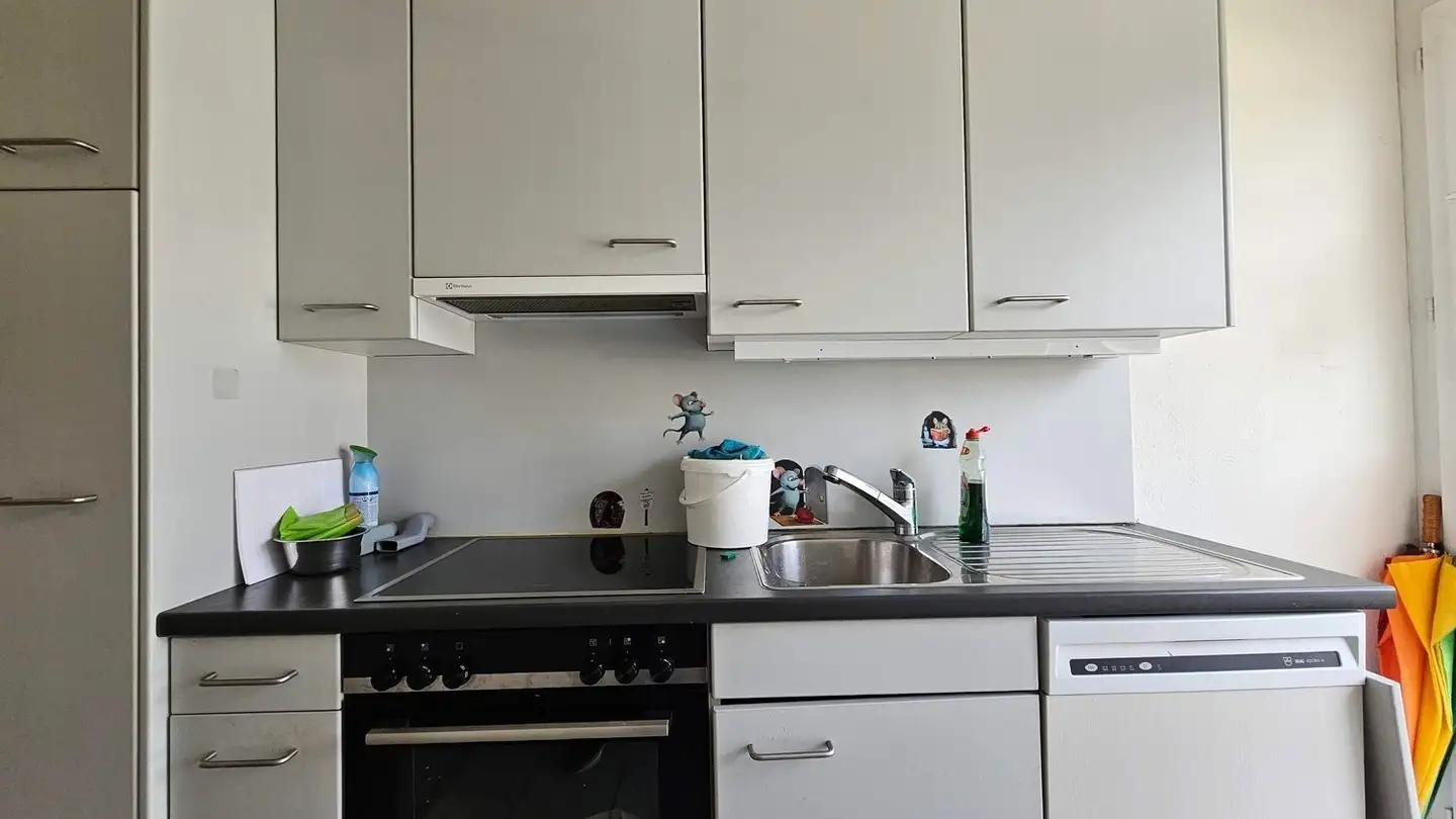 Appartamento in affitto - Bodenackerstrasse 27a, 4226 Breitenbach - Photo 2