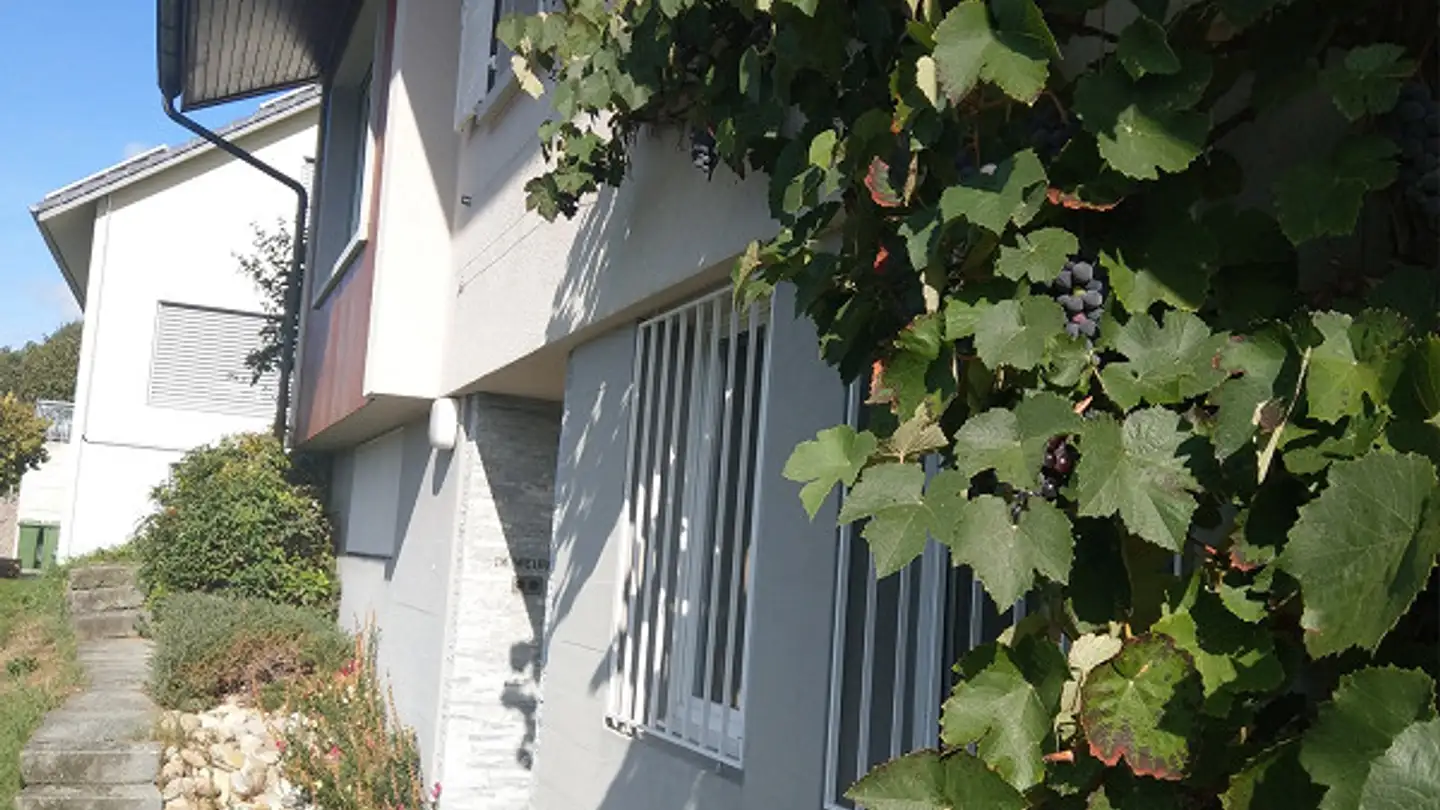 Maison individuelle à louer - Römerstrasse 12a, 4415 Lausen - Photo 4