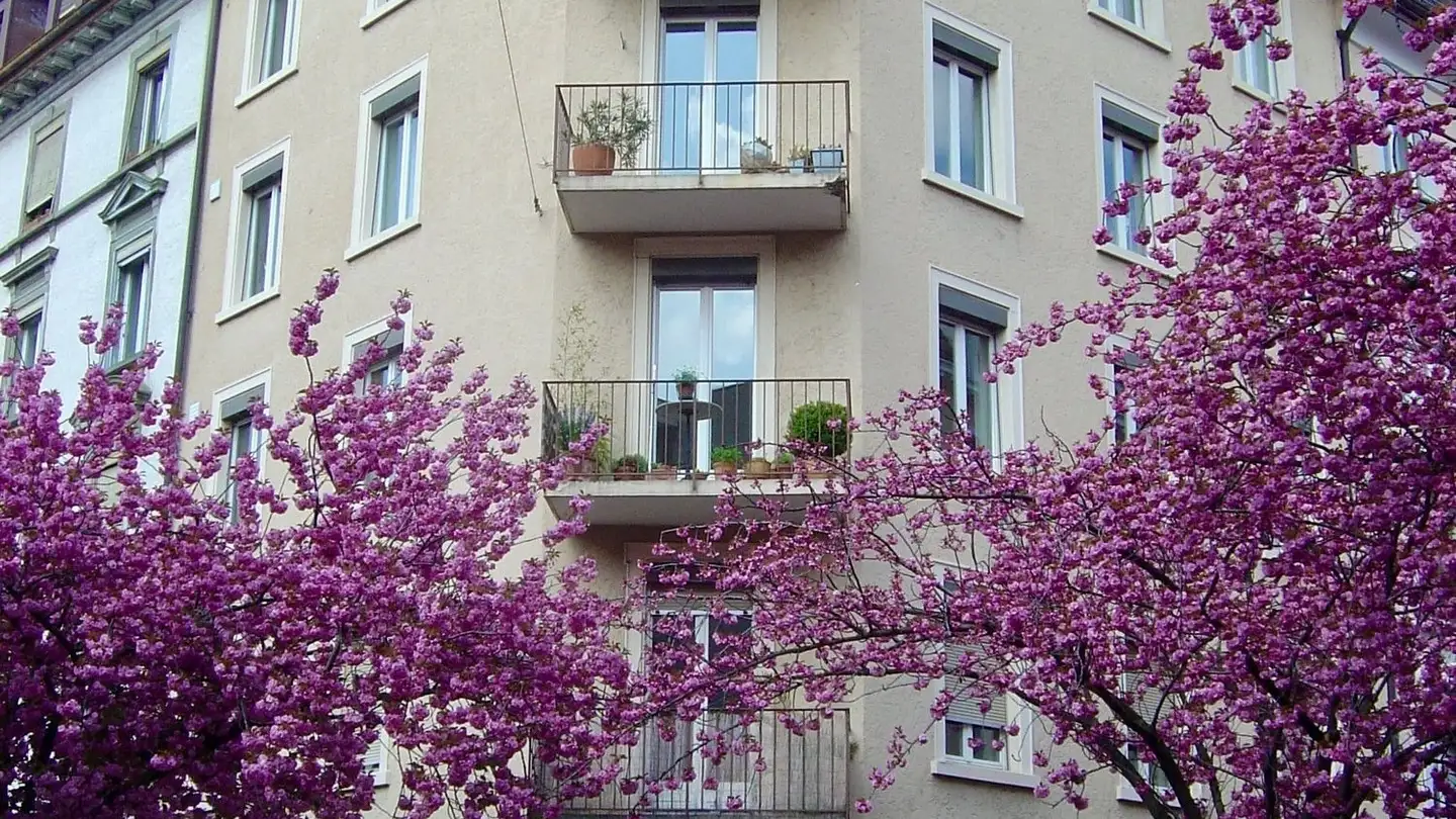 Penthouse mieten - Erlachstrasse 22, 8003 Zürich